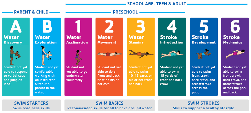 dragon swim school levels