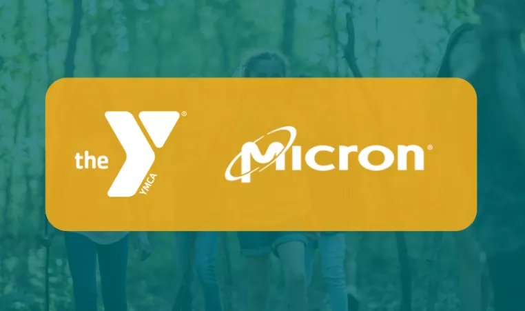 Summer Internship with Micron Technology Inc.